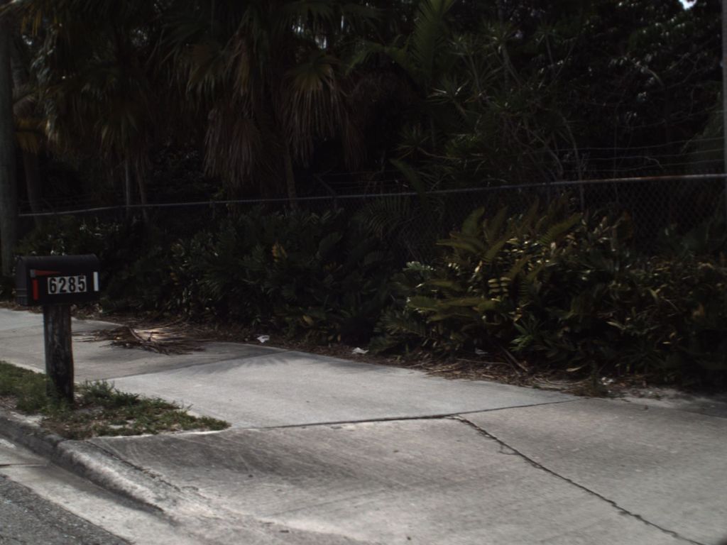 Street-level photo near 4512 BLUE PINE CIR