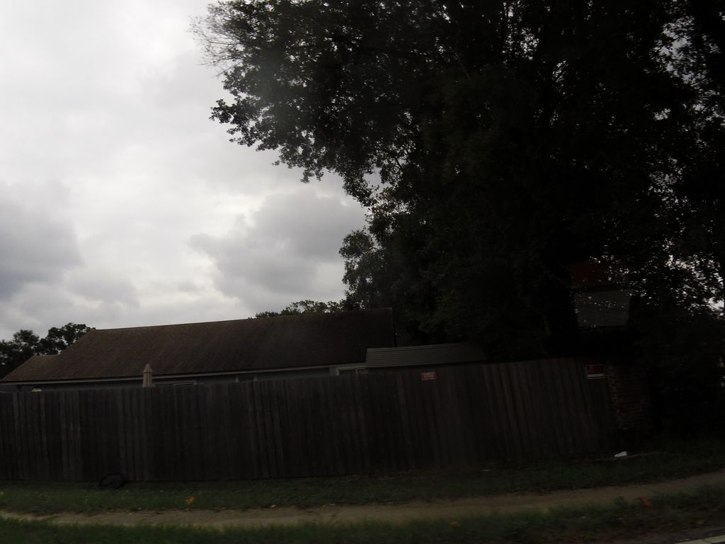 Street-level photo near 5236 RICKER RD 1