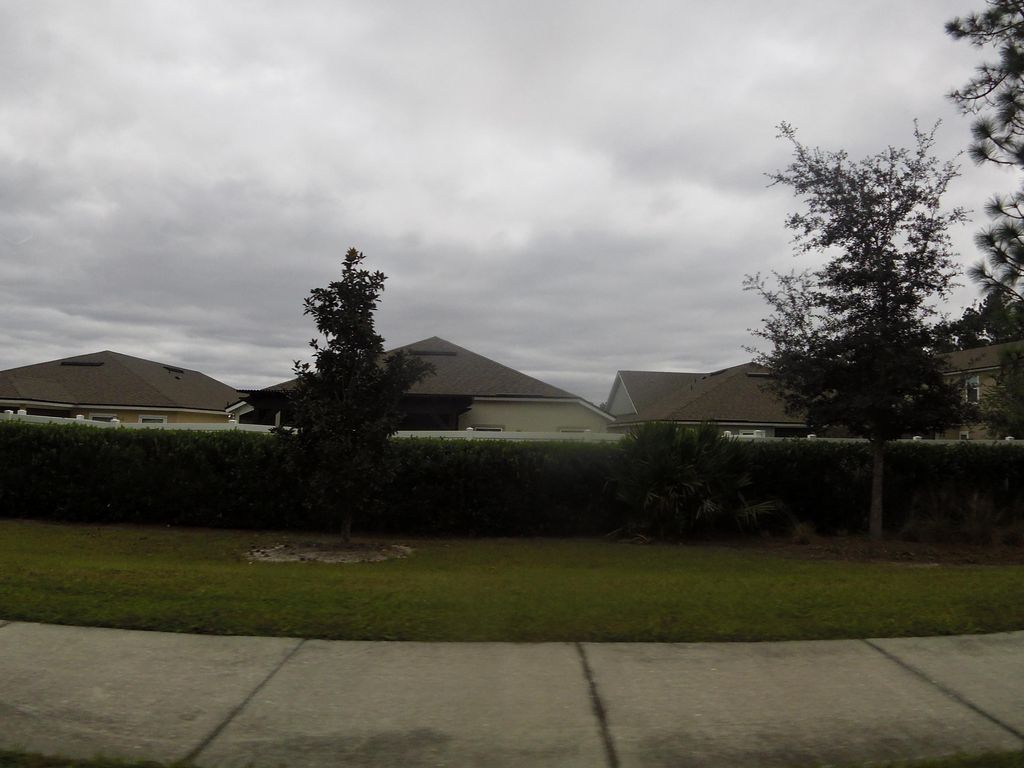Street-level photo near 10172 BENGAL FOX DR