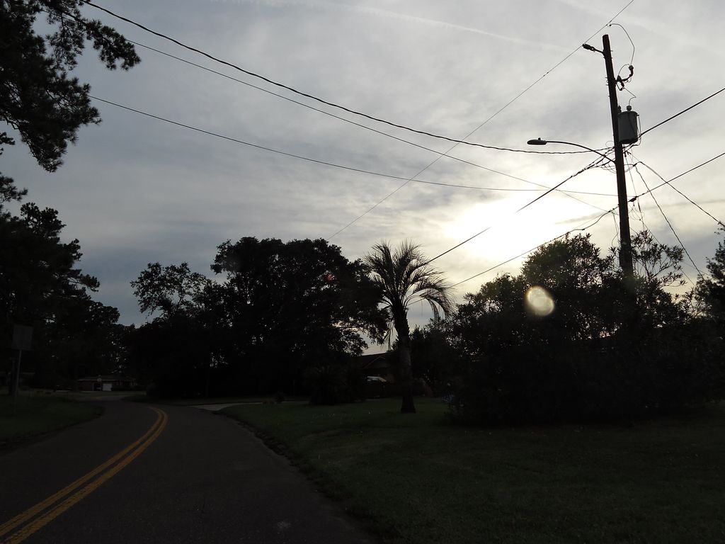 Street-level photo near 2955 RIBAULT SCENIC DR