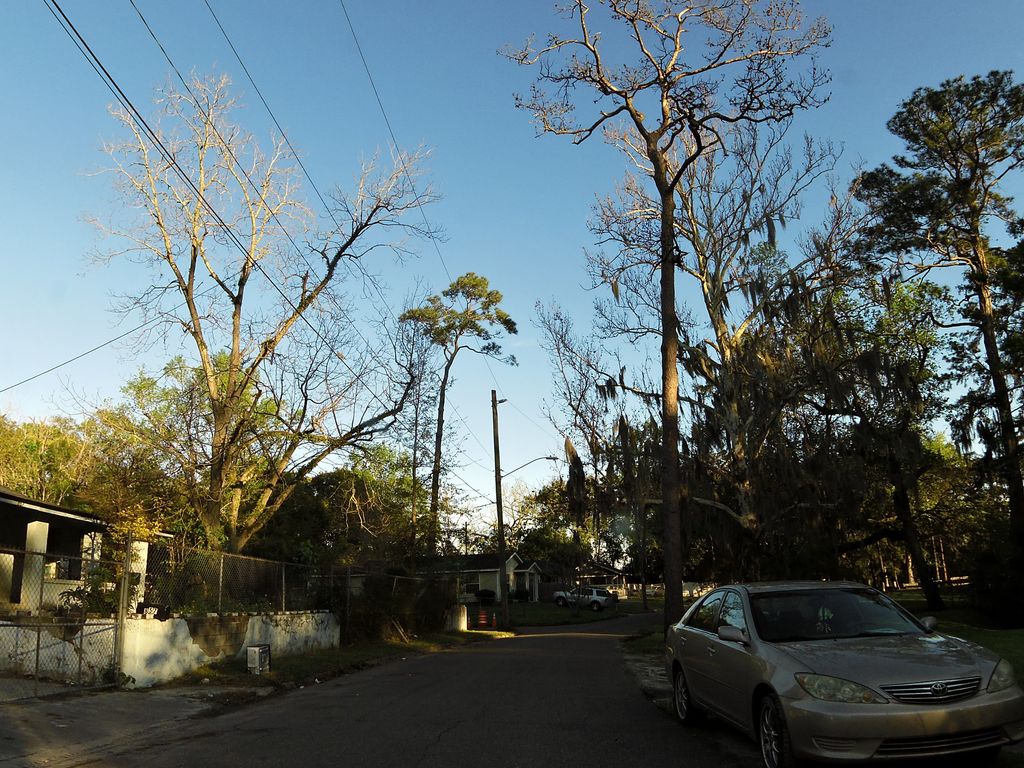 Street-level photo near 857 BENBOW ST