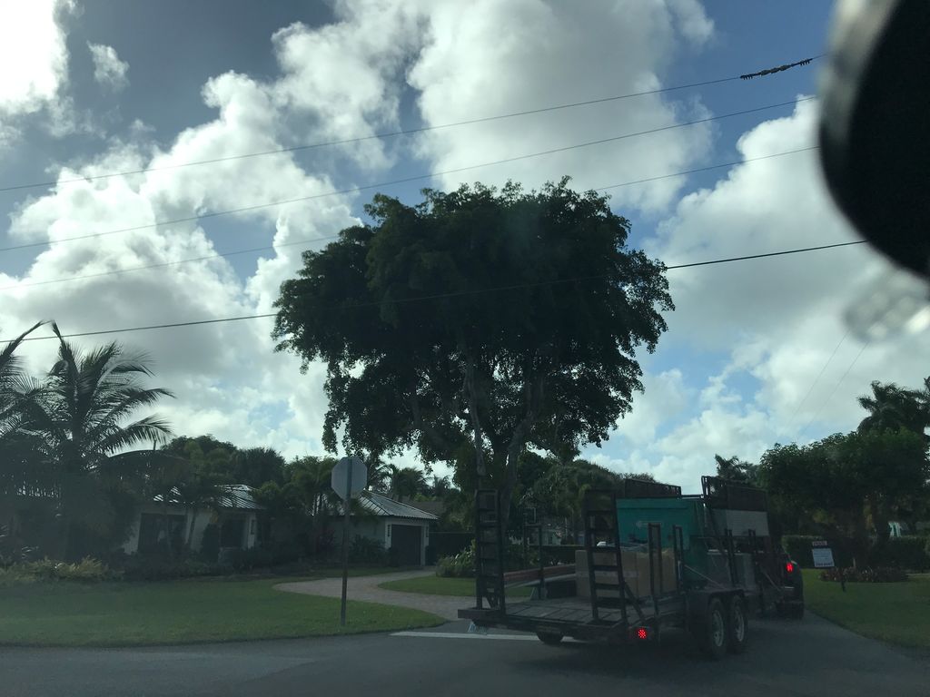 Street-level photo near 618 GARDENIA TER