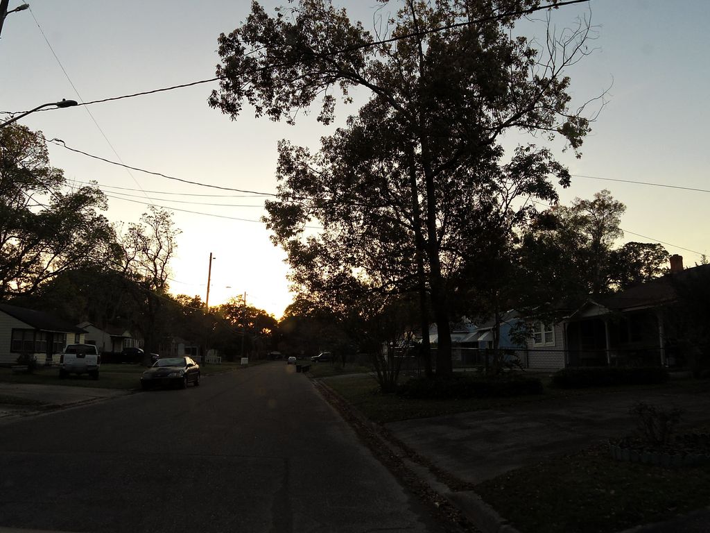 Street-level photo near 3381 SYLVIA ST