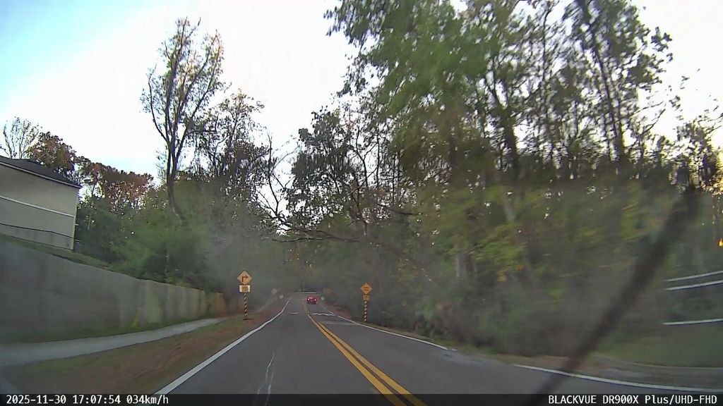 Street-level photo near 272 ARALIA LN