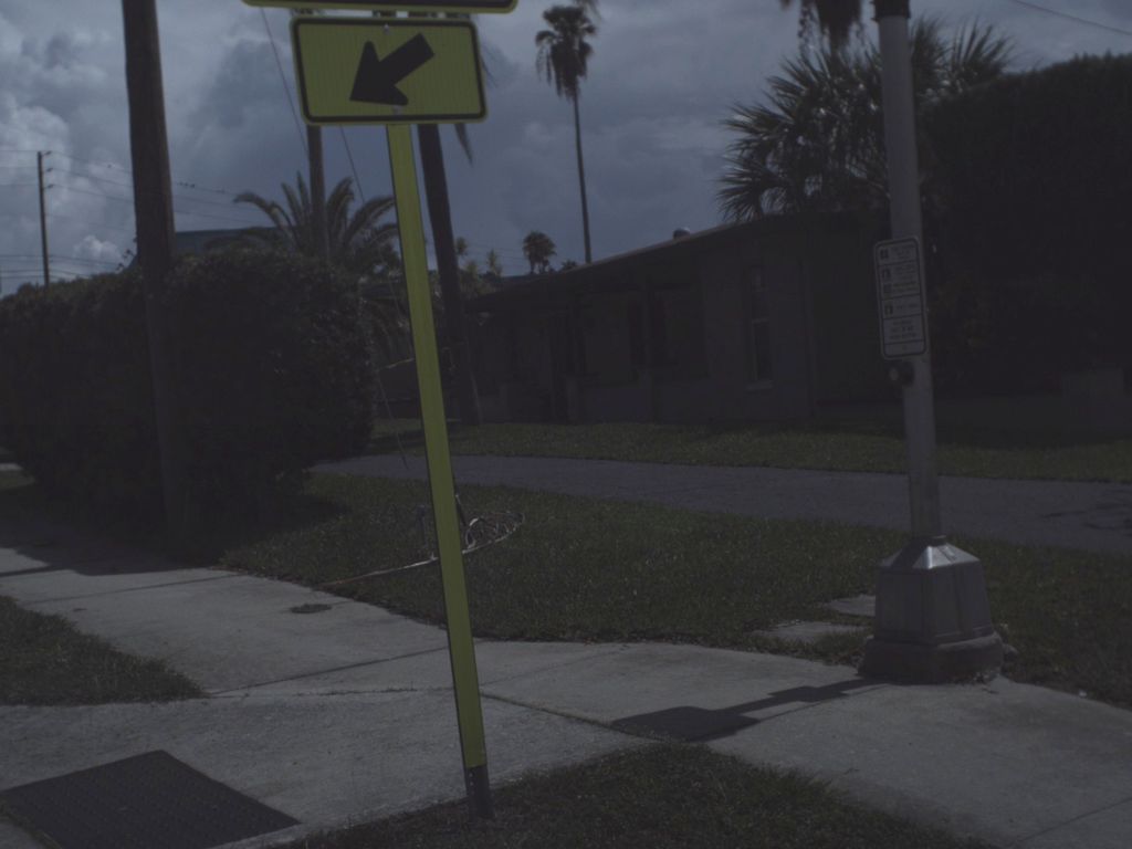 Street-level photo near 1383 GULF TO BAY BLVD