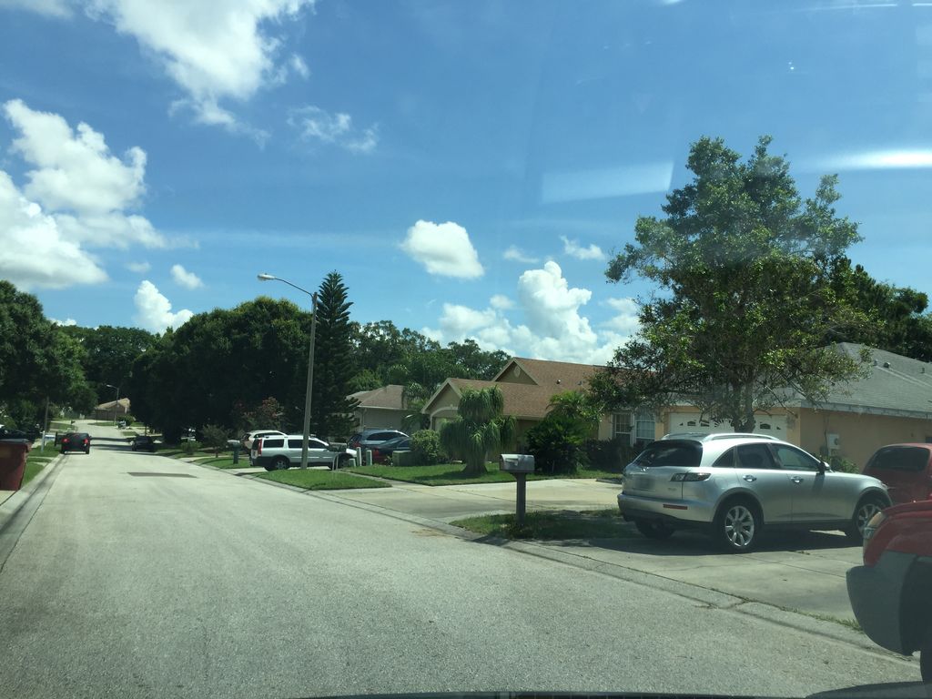 Street-level photo near 775 WILDFLOWER DR