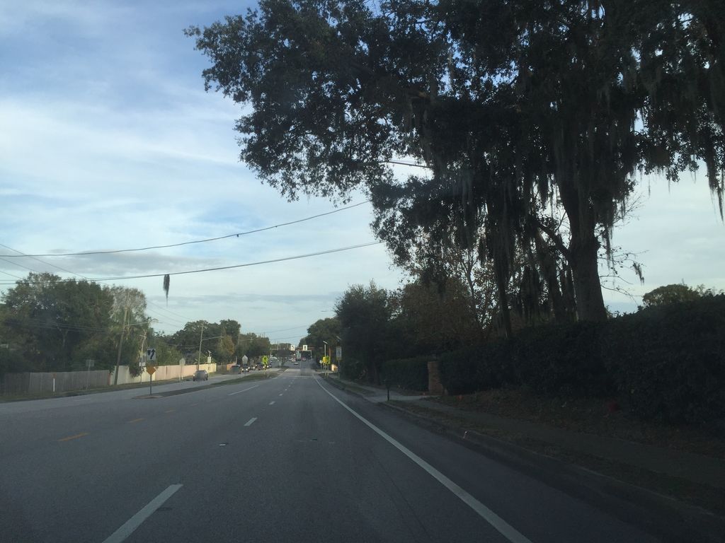 Street-level photo near 1931 OAK RIDGE CT