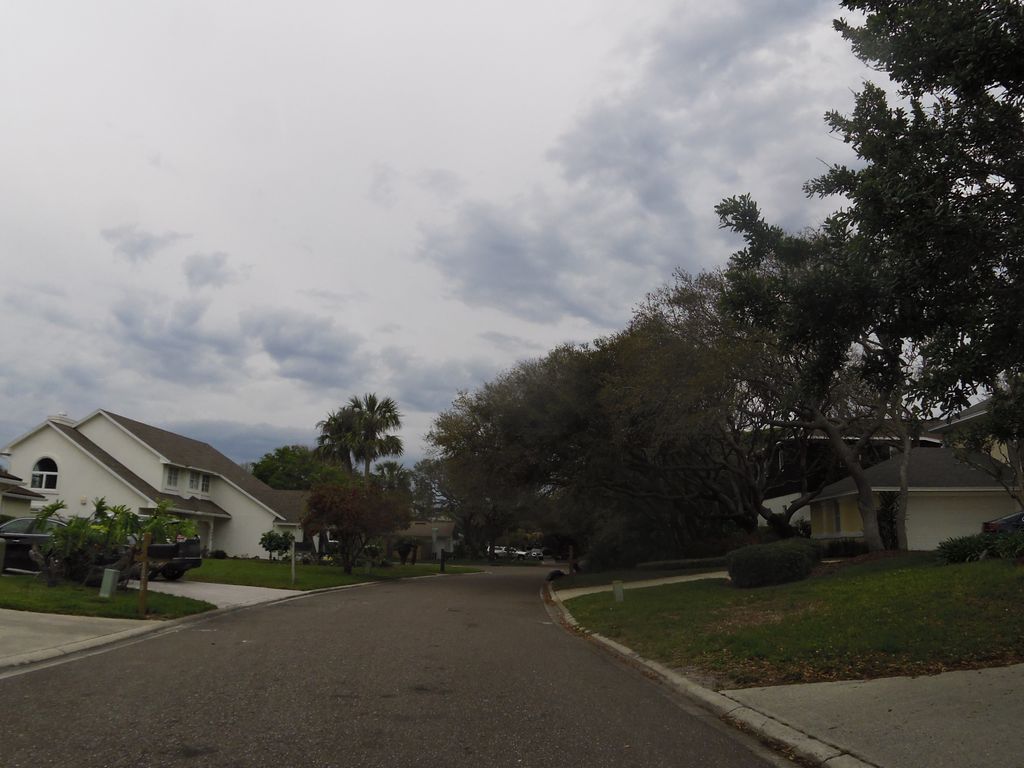 Street-level photo near 1905 SEMINOLE RD