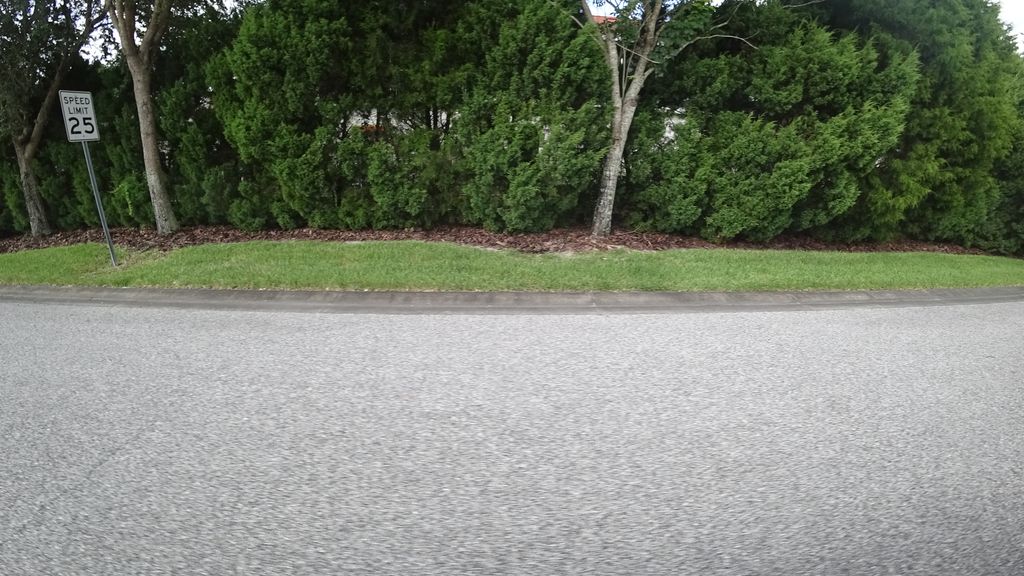 Street-level photo near 7261 FOUNTAIN PALM CIR