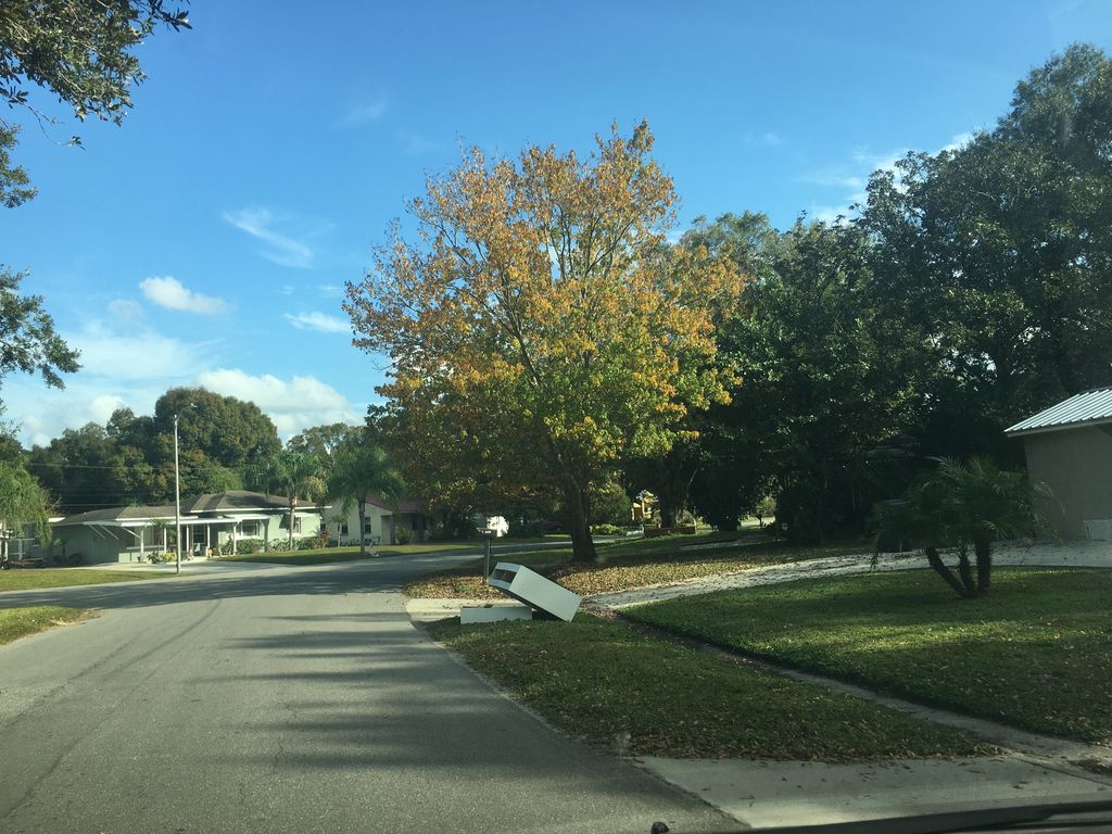 Street-level photo near 1504 W BRANDON DR
