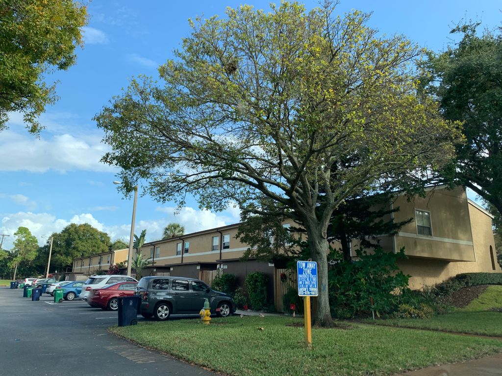 Street-level photo near 4215 LA DEGA CT
