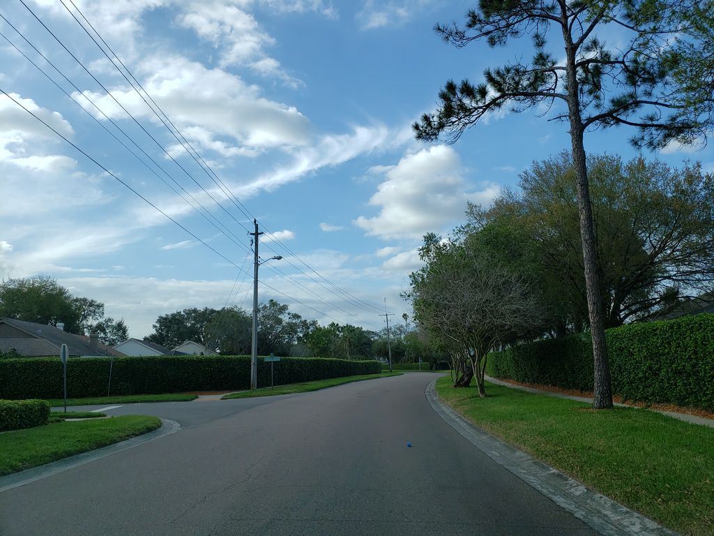 Street-level photo near 1402 SHELL FLOWER DR