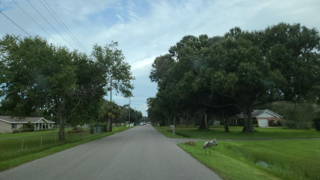 Street-level photo near 10734 SOUTHERN FOREST DR