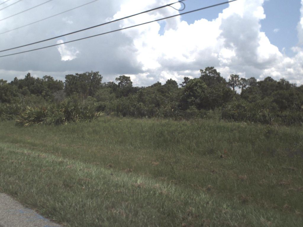 Street-level photo near 17009 PEACEFUL VALLEY DR