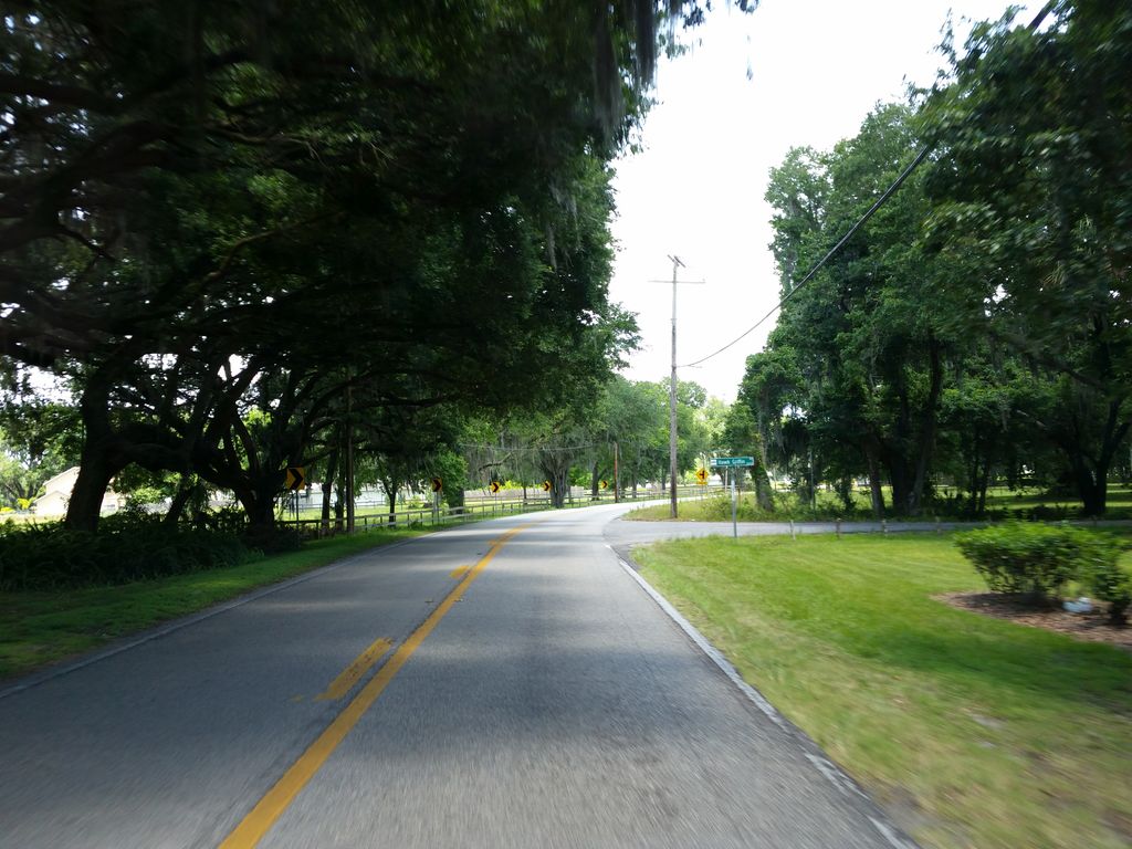 Street-level photo near 4906 THONOTOSASSA RD