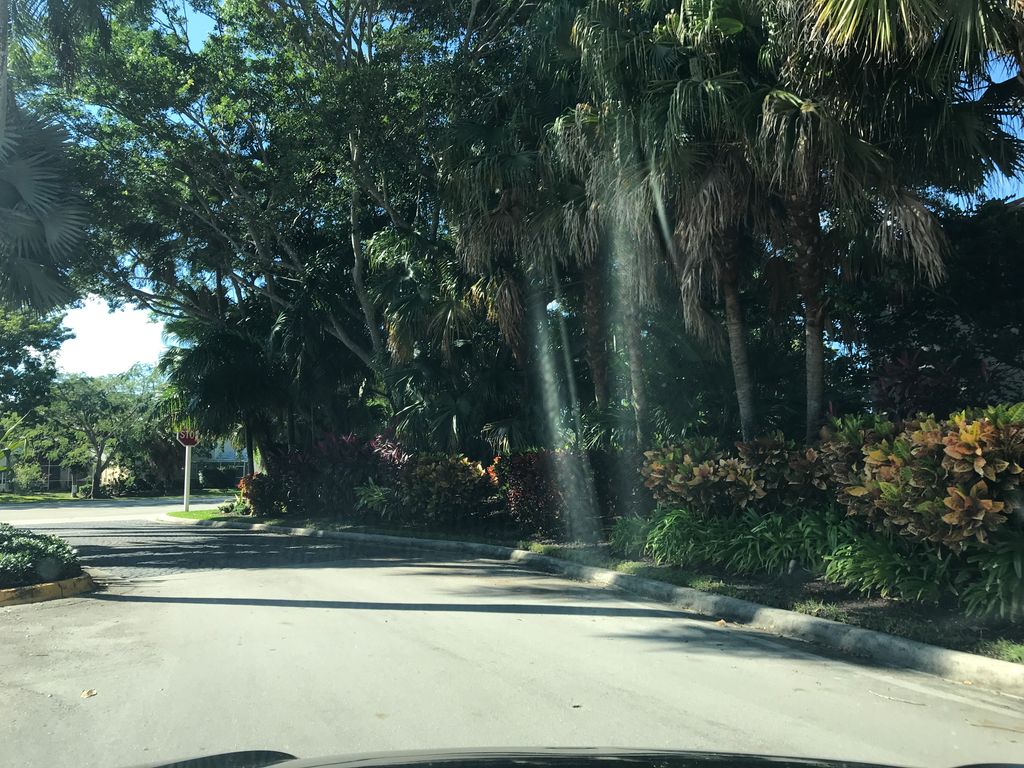 Street-level photo near 9308 NW 9 PL