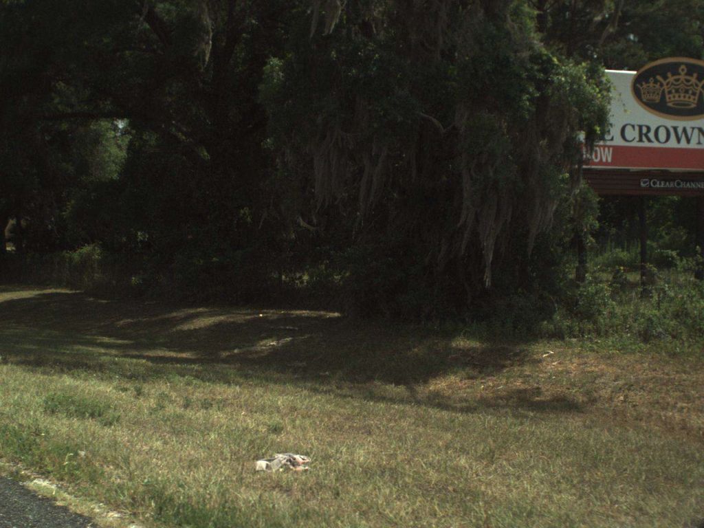 Street-level photo near 4605 US 301N