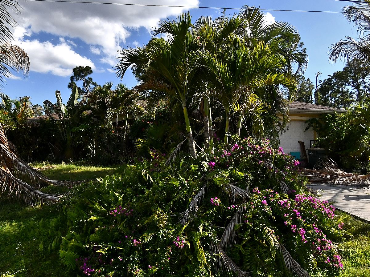 3-bed single family at 3041 WYOLA AVE, Sarasota County FL — foreclosure auction